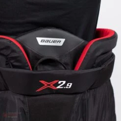 Bauer Vapor X2.9 Senior Goalie Pants -Hockey Equipment Shop bauer goalie pants bauer vapor x2 9 senior goalie pants 5496832557122