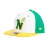 Minnesota North Stars Fanatics NHL Vintage Snapback Hat 2 Minnesota North Stars Fanatics NHL Vintage Snapback Hat -Hockey Equipment Shop fanatics hats minnesota north stars fanatics nhl vintage snapback hat green osfa 29005545930818